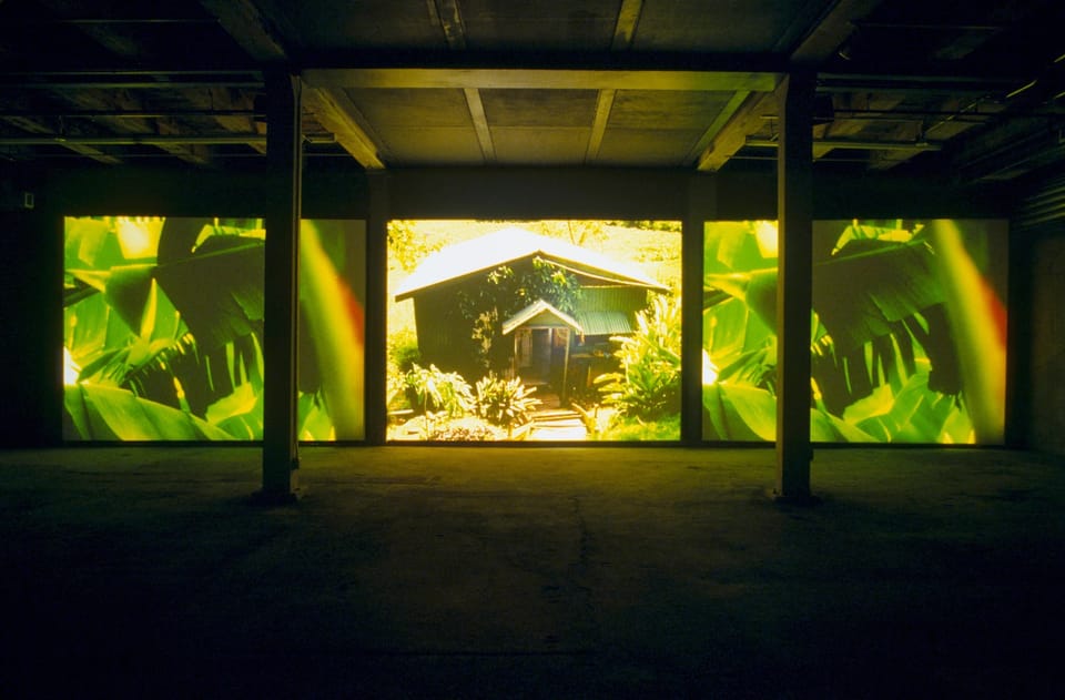 Isaac Julien dreams big at de Young